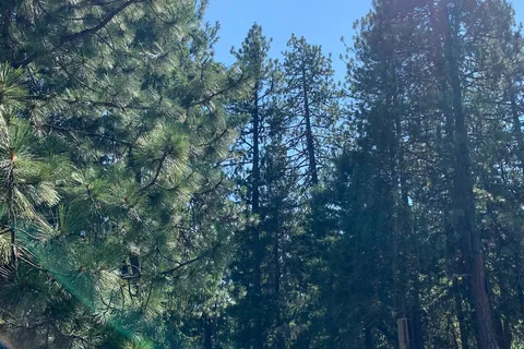 Willow Lake Resort