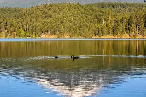 Willow Lake Resort