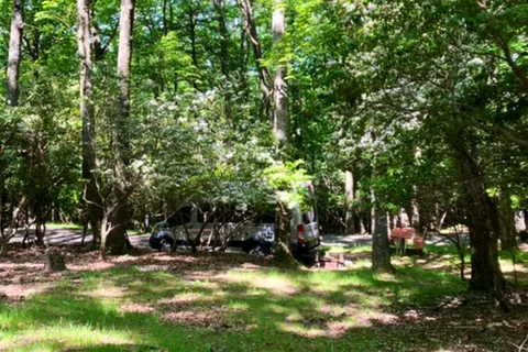 Rocky Knob Campground - Blue Ridge Parkway National Park