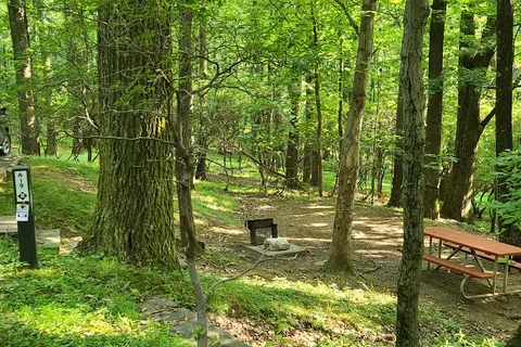 Rocky Knob Campground - Blue Ridge Parkway National Park