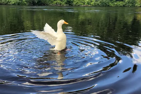Rivers Bend RV Resort and Campground