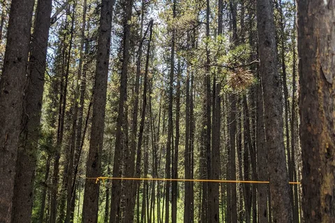 Cataract Creek Provincial Recreational Area