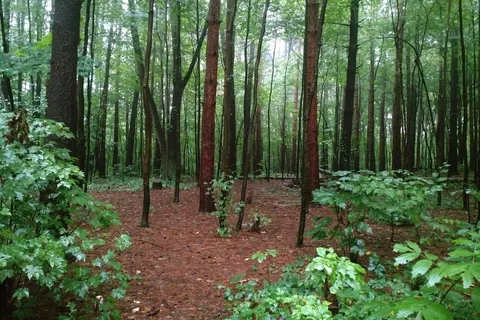 Family - Beaver Creek State Park