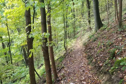 Family - Beaver Creek State Park