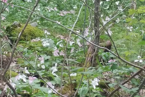 Family - Beaver Creek State Park