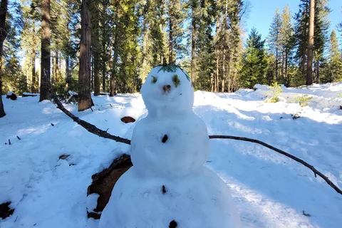 Goat Meadow Snow Play Area