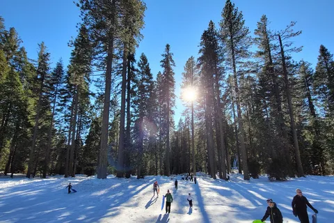 Goat Meadow Snow Play Area