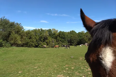 Hansens Hide Away Ranch and Family Campground