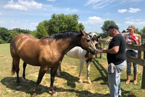 Hansens Hide Away Ranch and Family Campground