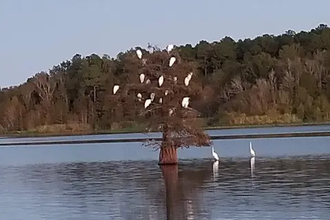 Taw Caw Campground and Marina