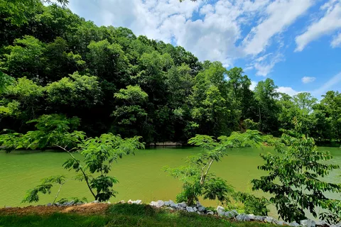 Creekside Camp