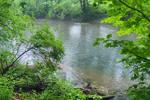 Bald Eagle State Park
