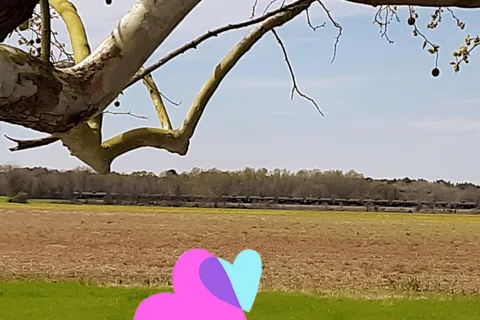 Poverty Point Reservoir State Park