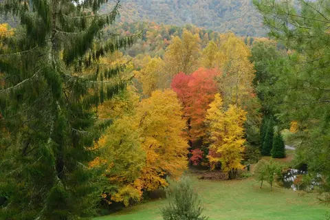 Deer Springs RV Park