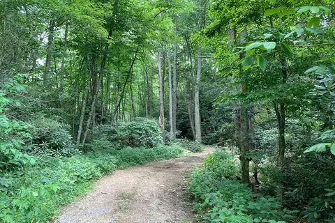 Doe River Campground