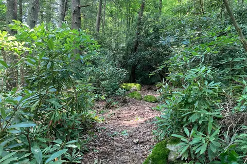 Doe River Campground