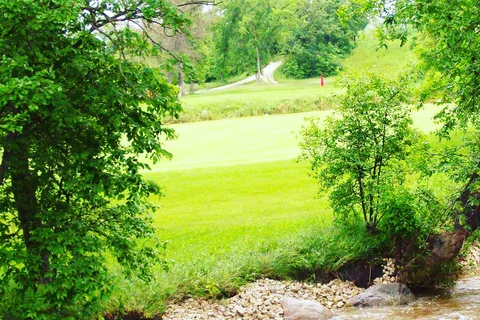 Netley Creek Golf and RV Park