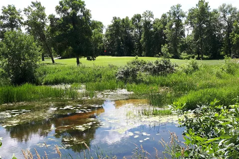 Netley Creek Golf and RV Park