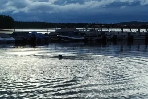 Lake Dore RV Resort