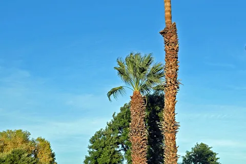 Indian Waters RV Resort and Cottages