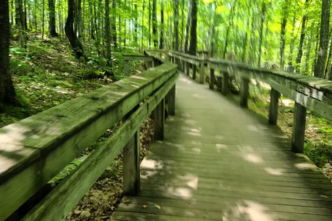 Porcupine Mountains Wilderness State Park