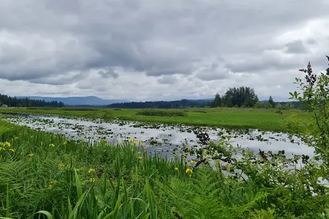 Seaquest State Park