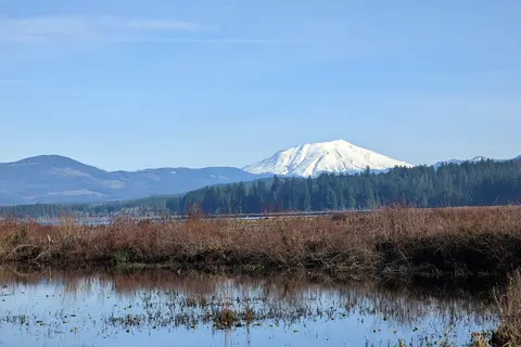 Seaquest State Park