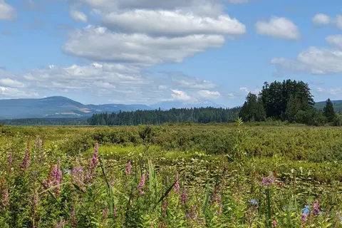 Seaquest State Park