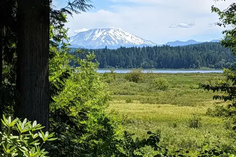 Seaquest State Park