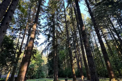 Seaquest State Park