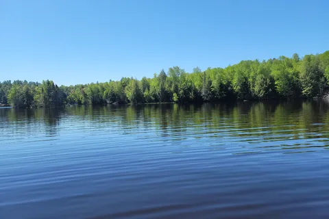 Sure-wood Forest Campground