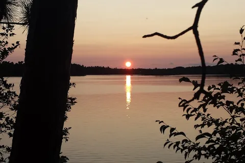 Sure-wood Forest Campground