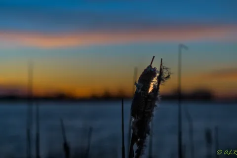 Walgren Lake State Recreation Area