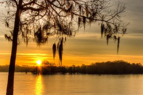 Lake Marion Resort and Marina
