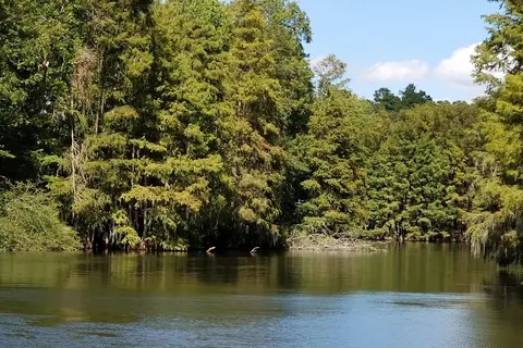 Lake Marion Resort and Marina