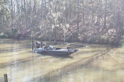 Lake Marion Resort and Marina