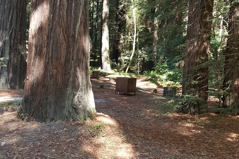 Grizzly Creek Redwoods State Park