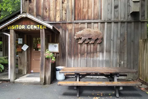 Grizzly Creek Redwoods State Park
