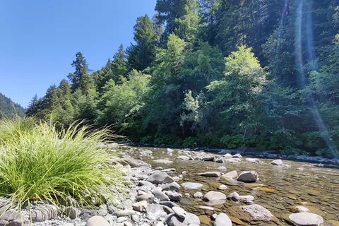Grizzly Creek Redwoods State Park