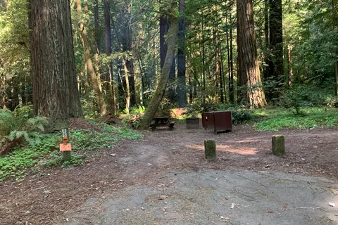 Grizzly Creek Redwoods State Park