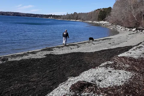 Lamoine State Park