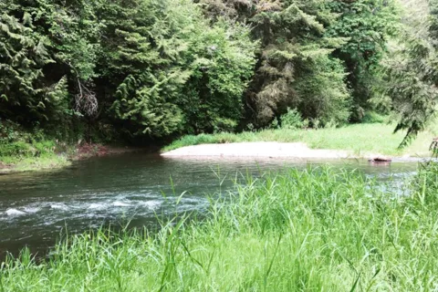 Clear Creek Station Campground