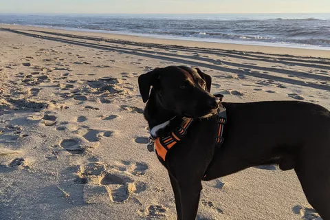 Ocean Waves Campground