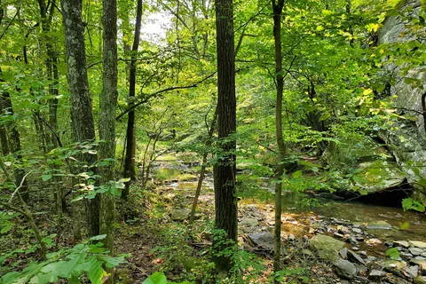 Deer Ridge - Ferne Clyffe State Park