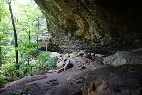 Deer Ridge - Ferne Clyffe State Park