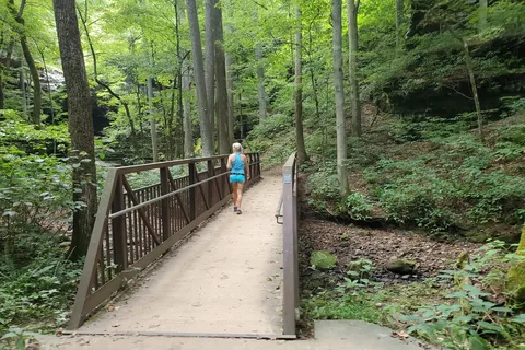 Deer Ridge - Ferne Clyffe State Park