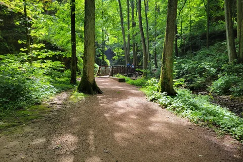 Deer Ridge - Ferne Clyffe State Park