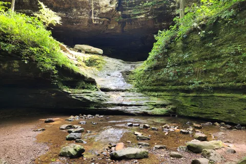 Deer Ridge - Ferne Clyffe State Park