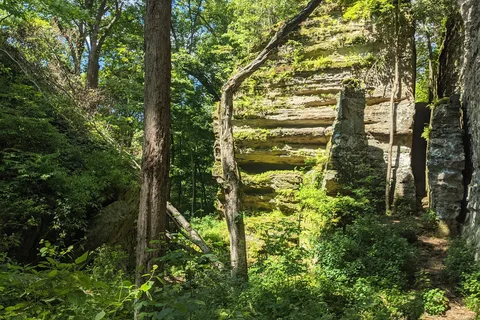 Deer Ridge - Ferne Clyffe State Park