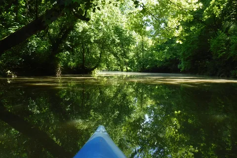 Boone's Landing